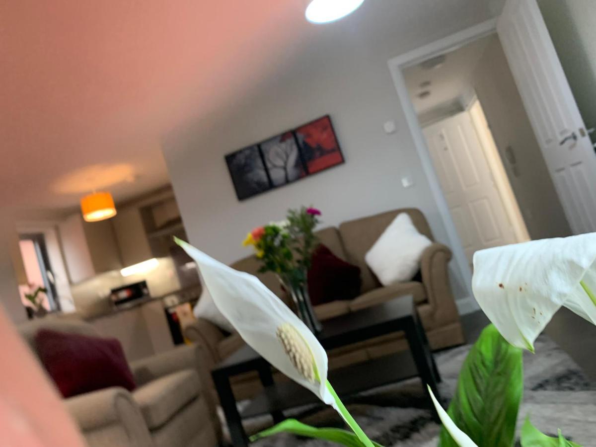 Aqua Dreams - Serviced Luxury Modern Belfast City Centre 2 Bed Apartment 外观 照片